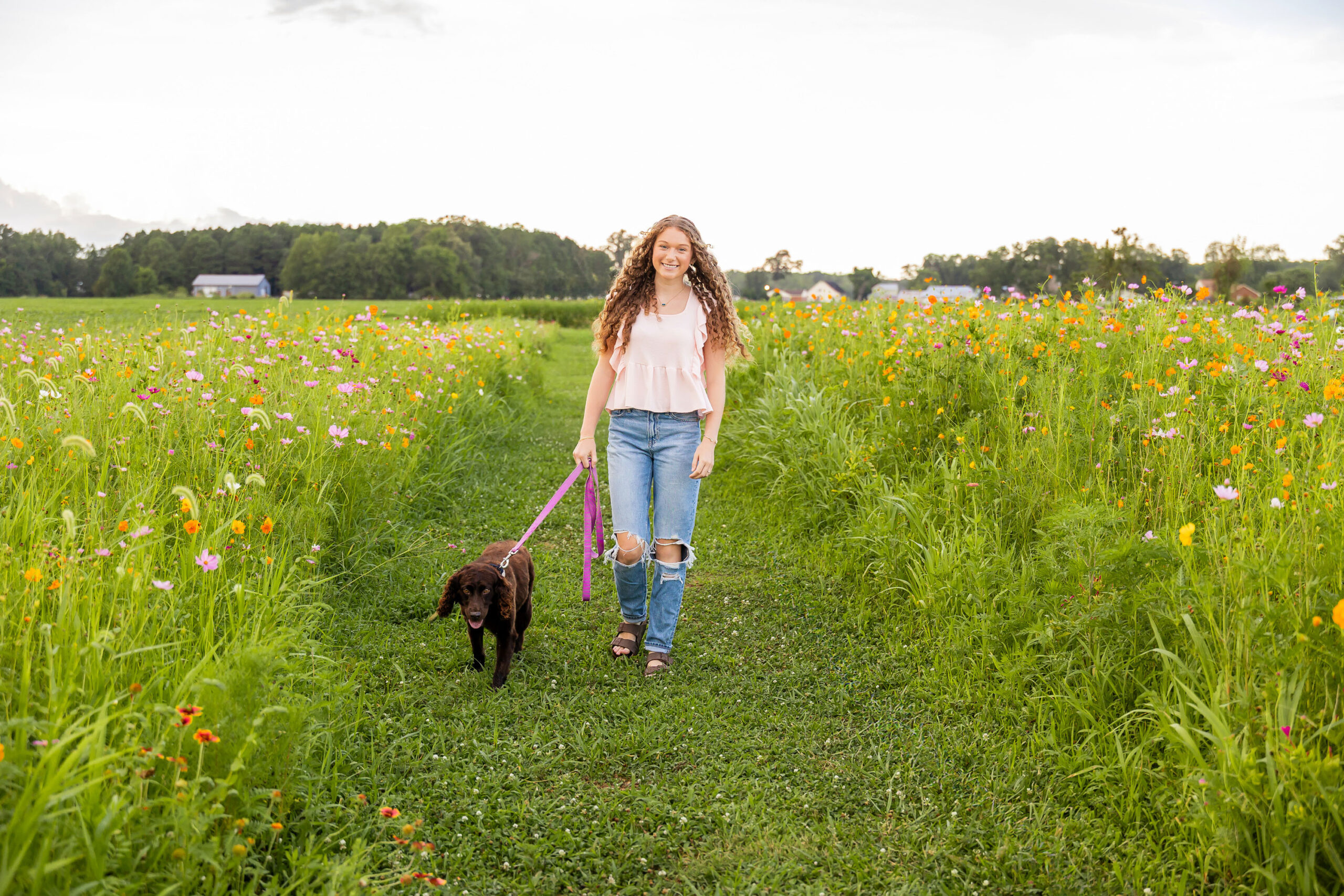 Golden Hour in the Wildflowers