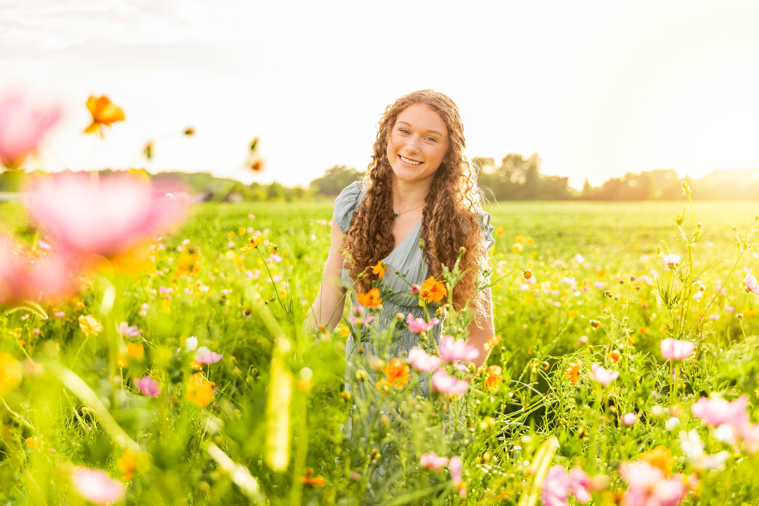 Golden Hour in the Wildflowers