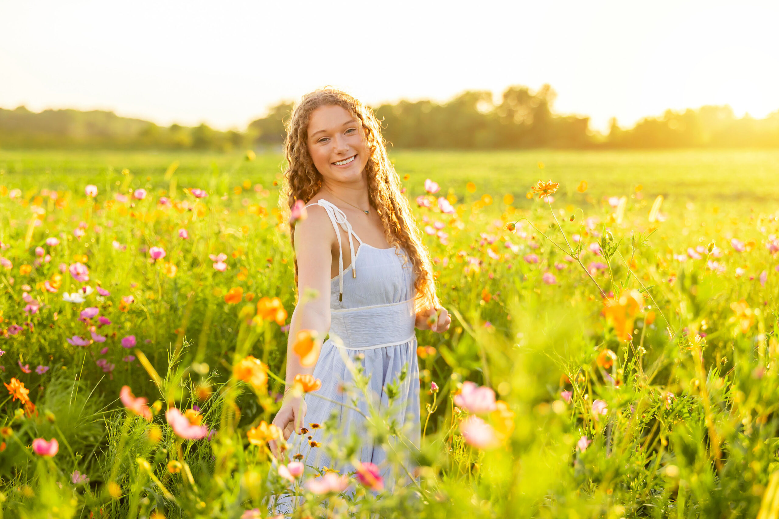 Golden Hour in the Wildflowers