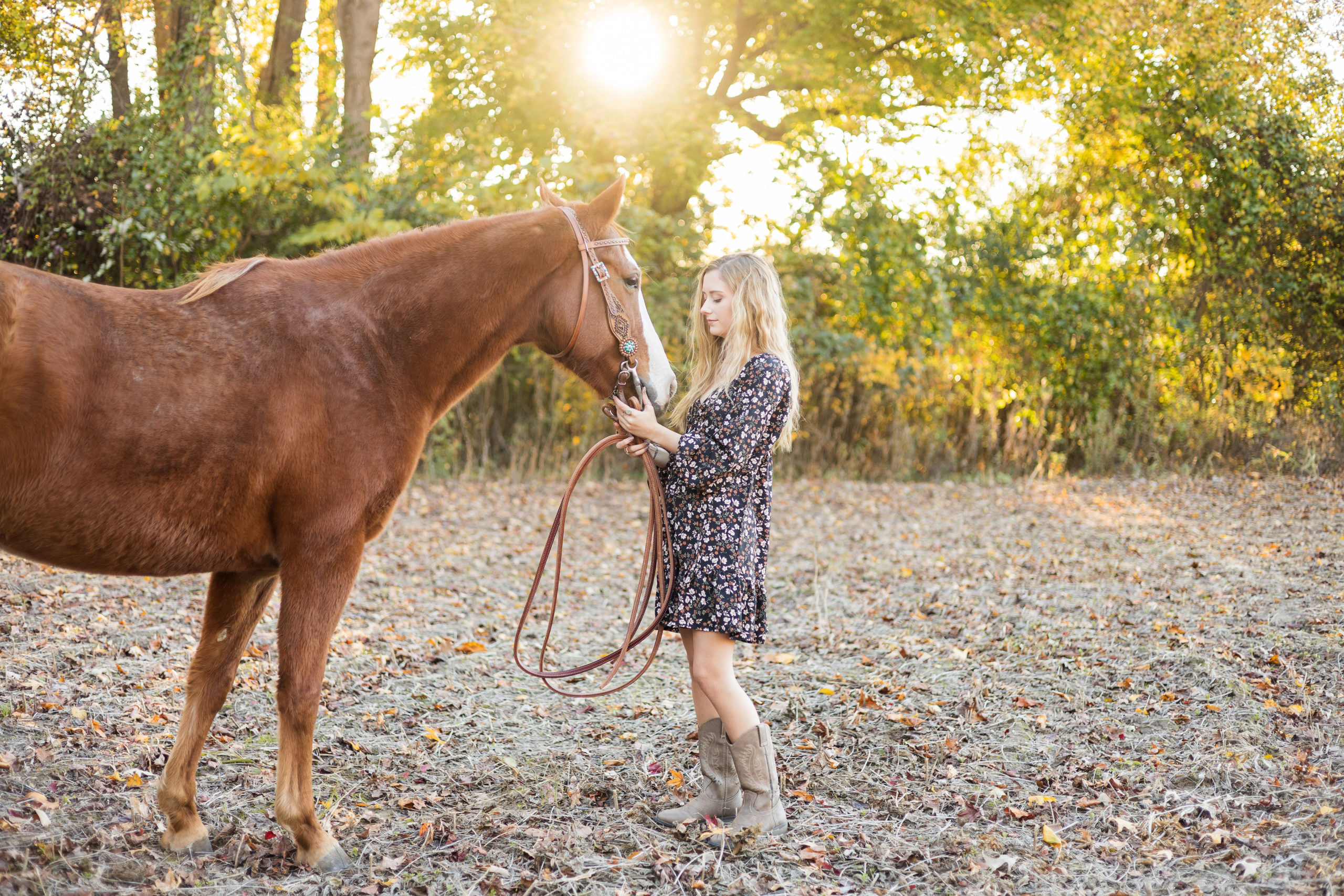 sarah hilts photography, nc Senior portaits , nc senior photographer, perquimans county senior portraits, Senior portraits with horse, senior pics with dog, fall senior pics , fall senior session, fall session, girl senior session , senior session with horse, eastern nc  senior session 