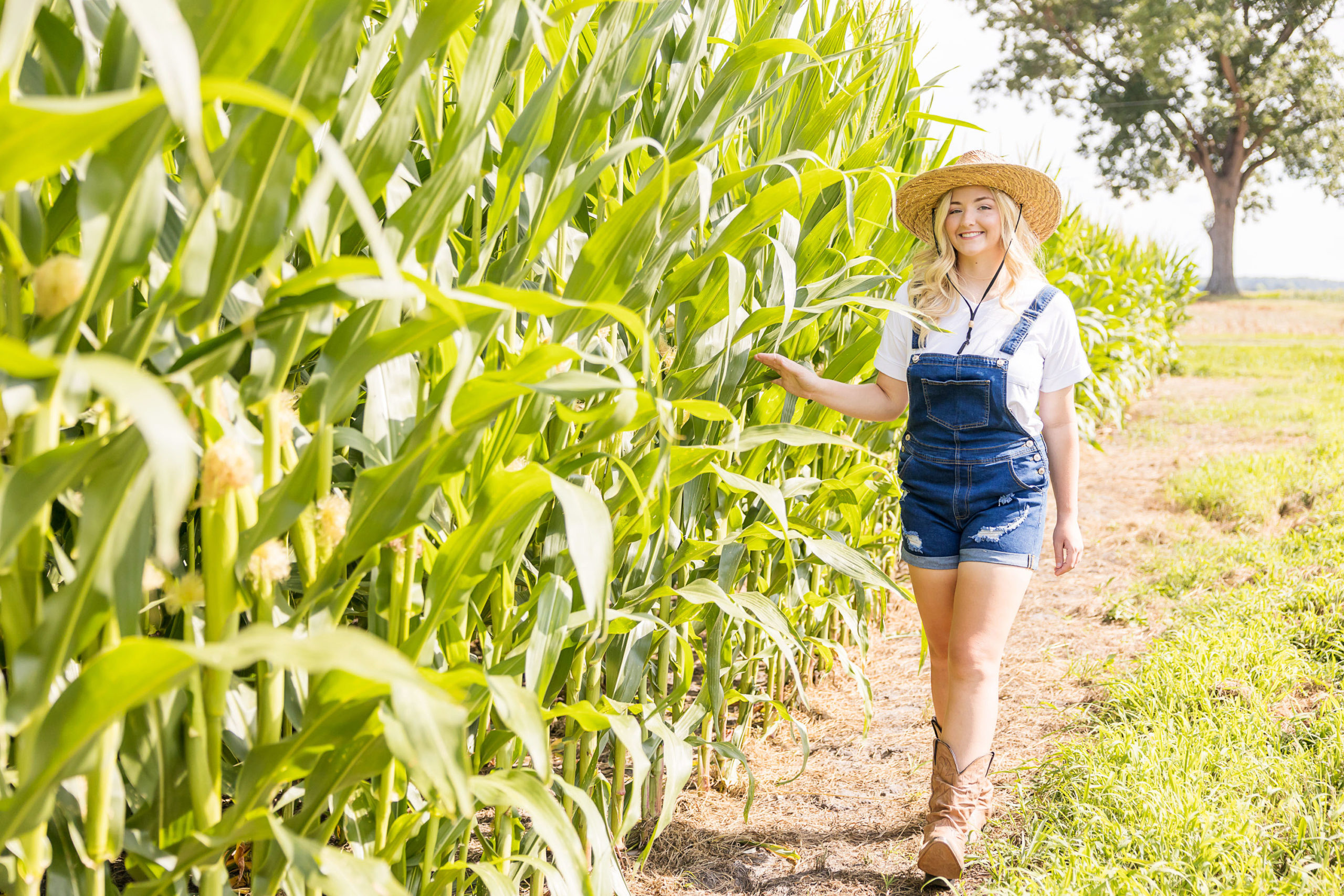 Perquimans County nc , Senior Session, Perquimans county Senior session, John Deere senior pics, tractor Senior pics , reading books senior portraits, sunflowers senior pic, girl senior session, Sarah Hilts Photography , Newbold White House Hertford NC