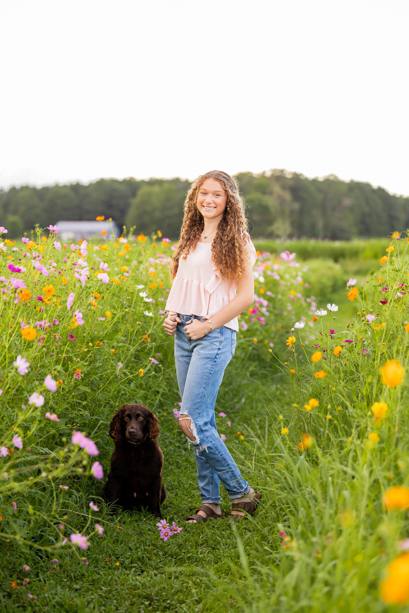 Golden Hour in the Wildflowers
